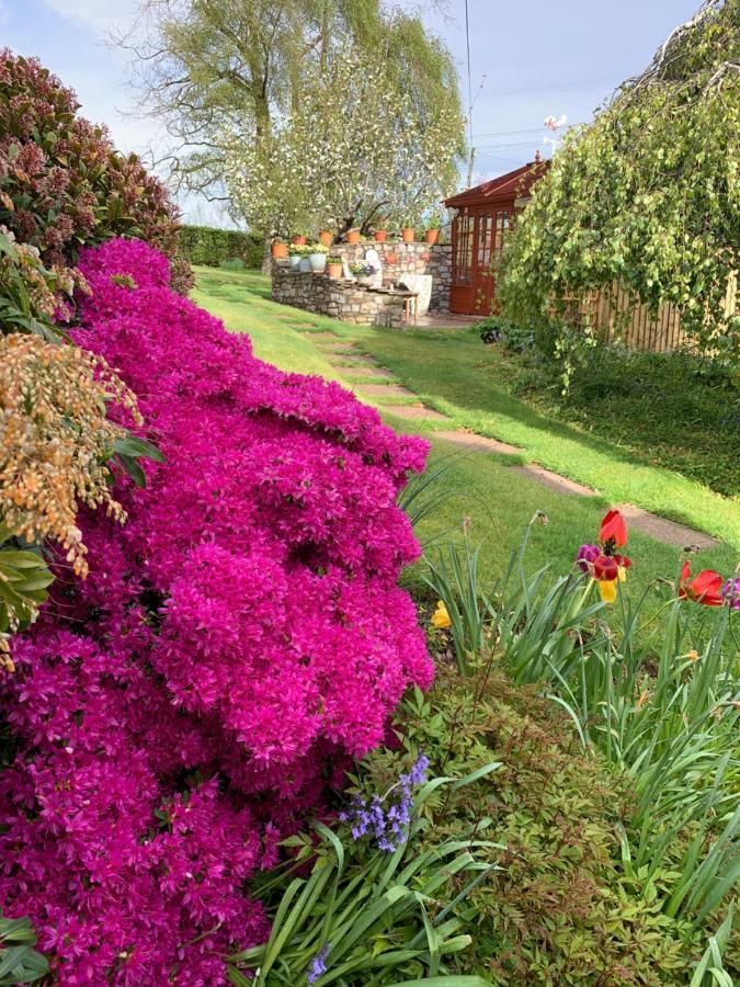 אברגאבני Llanwenarth Cottage A Beautiful Place To Just Be. מראה חיצוני תמונה
