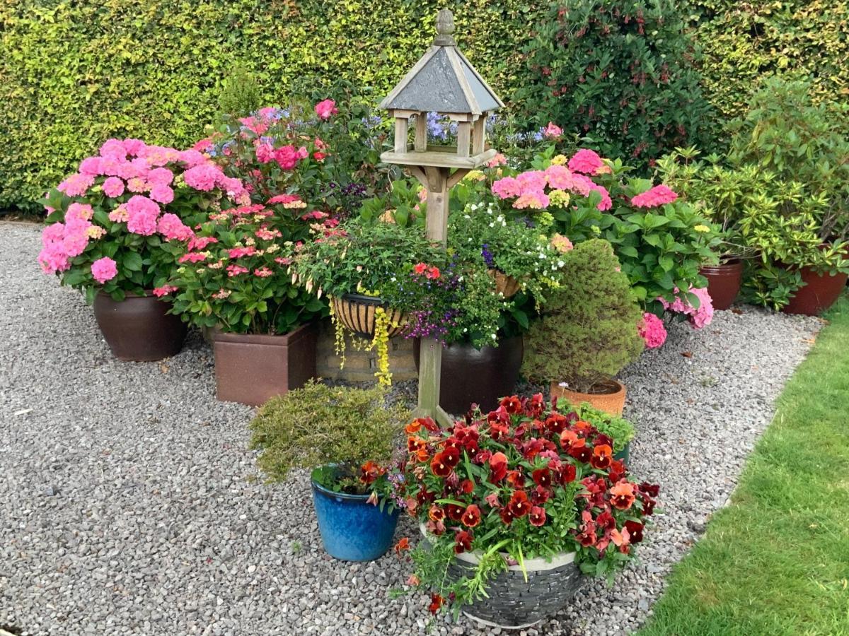 אברגאבני Llanwenarth Cottage A Beautiful Place To Just Be. מראה חיצוני תמונה