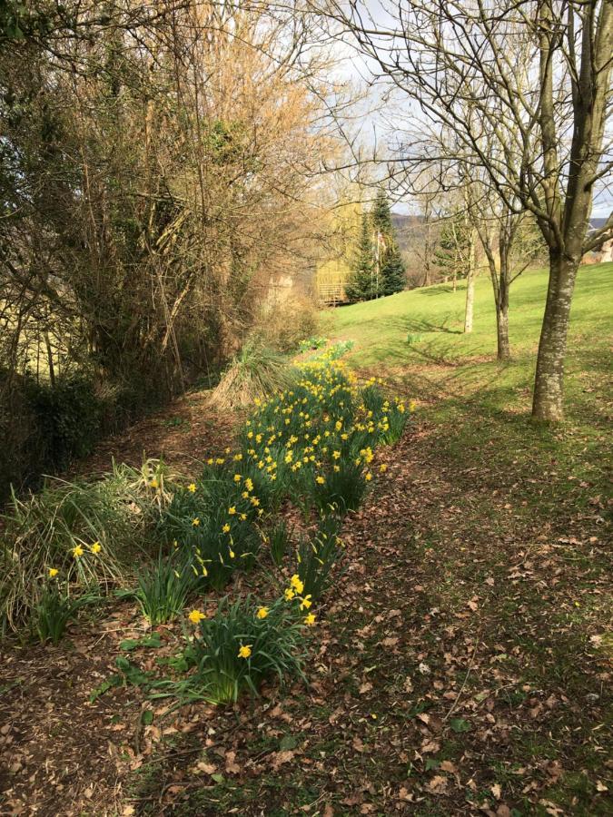 אברגאבני Llanwenarth Cottage A Beautiful Place To Just Be. מראה חיצוני תמונה