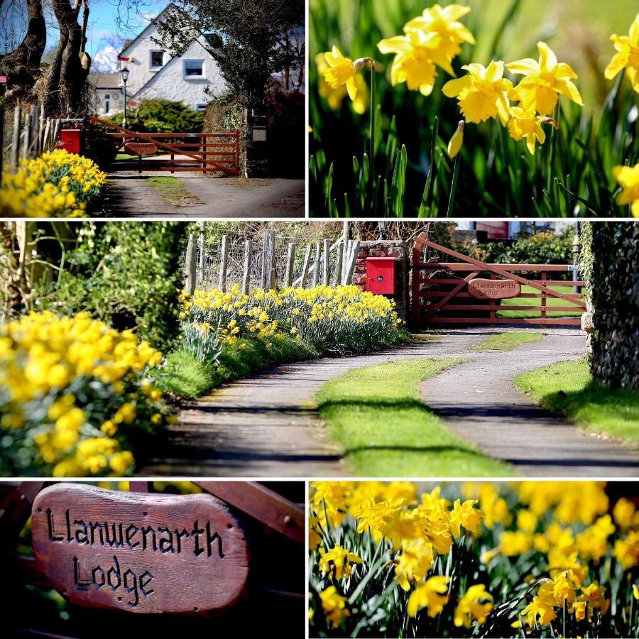אברגאבני Llanwenarth Cottage A Beautiful Place To Just Be. מראה חיצוני תמונה